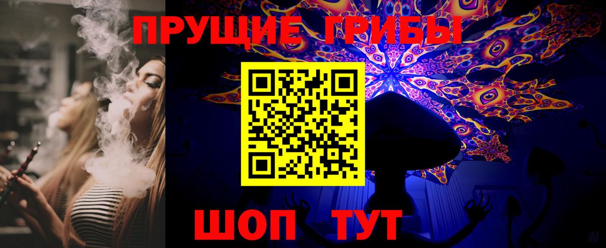 Псилоцибиновые грибы прущие грибы Гуково